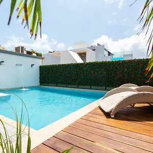 https://studio-501-en-edificio-vanessa-42-a-5-min-de-la-5ta-y-playa.allrivieramayahotels.com